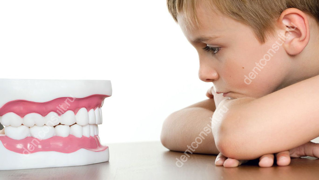 Какое количество зубов должно быть у детей?