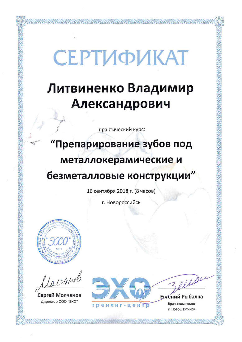 Литвиненко Владимир Александрович - сертификат