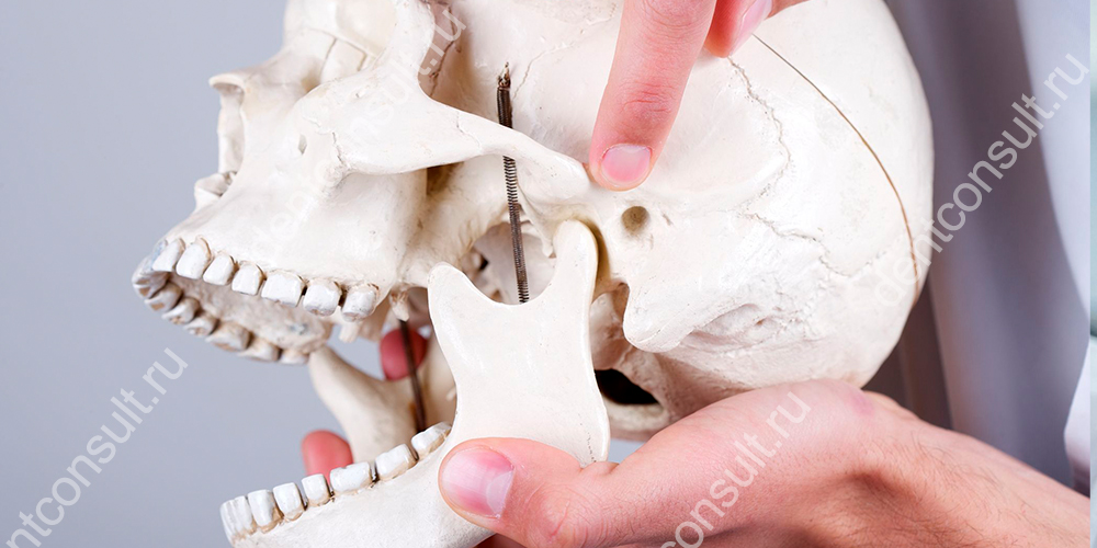В поиске причины хруста челюсти нужно вспомнить о небольших, но очень важных суставах – височно-нижнечелюстных или ВНЧС